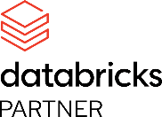 Databricks Partner